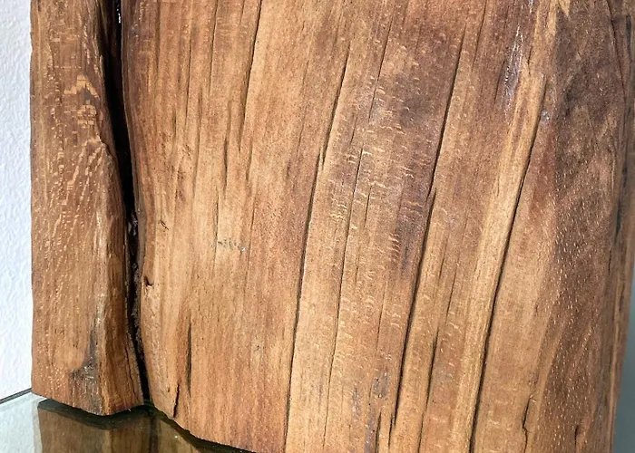 Studio_suite05 Apartment *